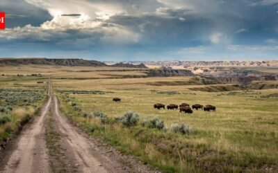 Montana conservation group bought 70,000-acre ranch once owned by Texas billionaires, expanding planned nature preserve beyond half a million acres | World News