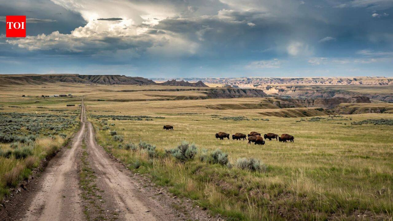 Montana conservation group bought 70,000-acre ranch once owned by Texas billionaires, expanding planned nature preserve beyond half a million acres | World News