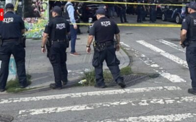 4 people stabbed at New York home; woman shot by cops after charging at officers with knife