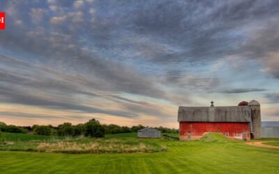 In 1982, a Minnesota farmer wrote a will leaving his 300-acre farm to his son after his wife’s lifetime; a different 1989 will later emerged, and a 2026 appeals court reversed the reopening of his estate