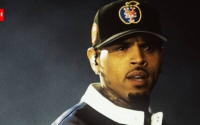 Chris Brown avoids immediate jail in London after admitting affray in a 2023 nightclub bottle attack, receiving an eight-month suspended prison sentence as the judge warns that fame brings no special treatment | English Movie News