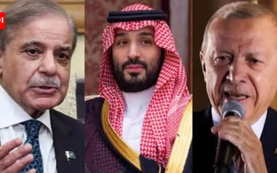 Saudi defence pact countries push for peace in Iran