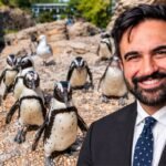 Zohran Mamdani announces  million investment in New York Aquarium renovation; money will support upgrades to Sea Cliffs exhibit housing seals, sea otters and sea lions | World News