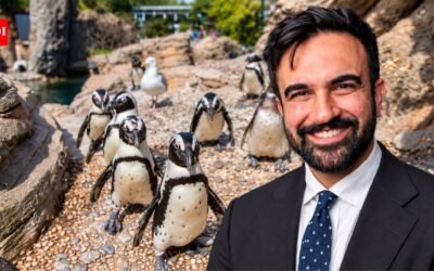 Zohran Mamdani announces $2 million investment in New York Aquarium renovation; money will support upgrades to Sea Cliffs exhibit housing seals, sea otters and sea lions | World News