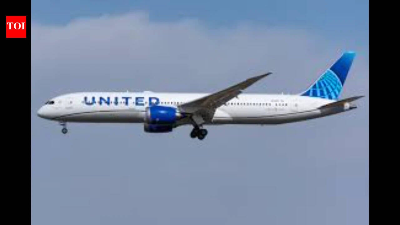 ‘Gonna hijack this planẹ…crash ur row only’: Text for which Newark-bound United Airlines plane returned to Las Vegas revealed