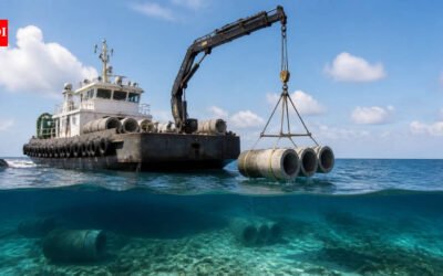 Nearly 200 unwanted concrete pipes and culverts were lowered into the Atlantic off Jacksonville in 2026; instead of being dumped on land, the pieces now form a new fish habitat roughly 90 feet below the water
