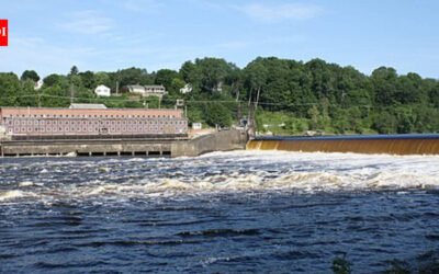 In 2012 and 2013, Maine removed two old Penobscot River dams to restore migratory routes; by September 2026, the Milford fish lift had counted a preliminary 5.85 million river herring returning upstream
