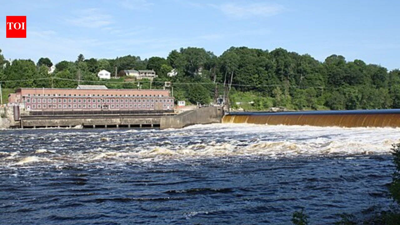 In 2012 and 2013, Maine removed two old Penobscot River dams to restore migratory routes; by September 2026, the Milford fish lift had counted a preliminary 5.85 million river herring returning upstream