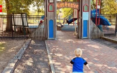 Taylor Swift gave $100,000 to revive a Tennessee playground destroyed by floods in 2010, now the city is seeking a roughly $3 million grant for an inclusive play area and sports upgrades at the same park