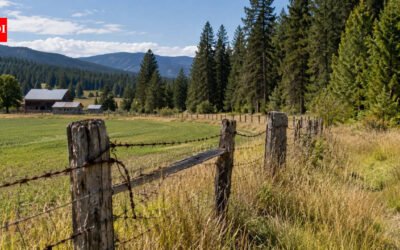 An Idaho couple who have farmed beside a barbed-wire fence since 1979 fought the state over 5.95 acres, and an October 27 Supreme Court ruling reversed the state’s title victory and reopened their ownership claim