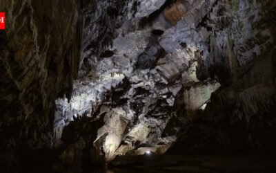 A Pennsylvania family has owned Penn’s Cave since 1908 and expanded its land to protect its water; 118 years later, the 1,400-acre attraction with a cavern, wildlife park and airport is seeking a new owner