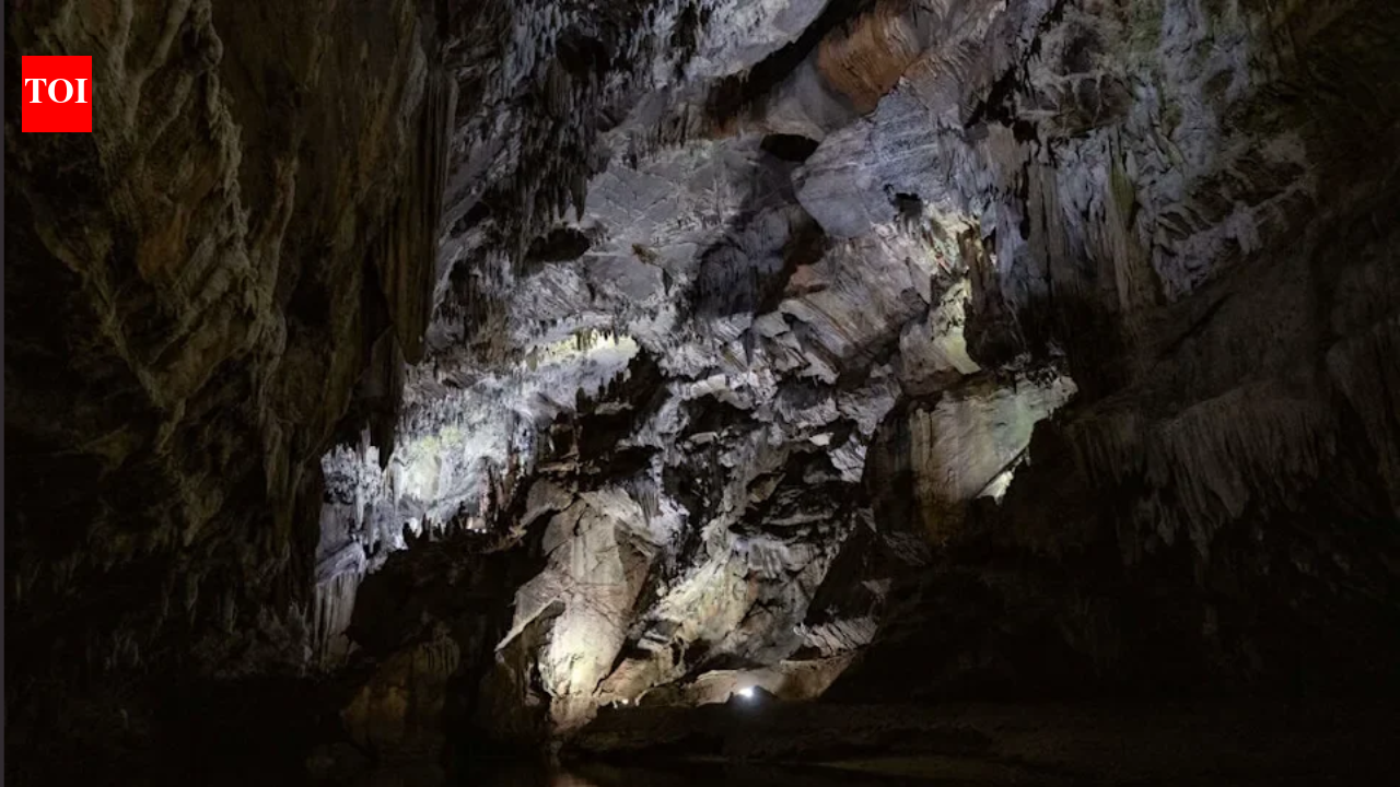 A Pennsylvania family has owned Penn’s Cave since 1908 and expanded its land to protect its water; 118 years later, the 1,400-acre attraction with a cavern, wildlife park and airport is seeking a new owner