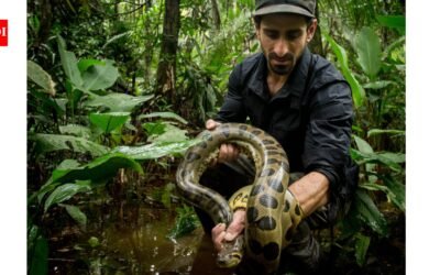 Paul Rosolie entered the Amazon at 18 and spent two decades fighting to save its rainforest; now, his team is protecting 160,000 acres of forest | World News