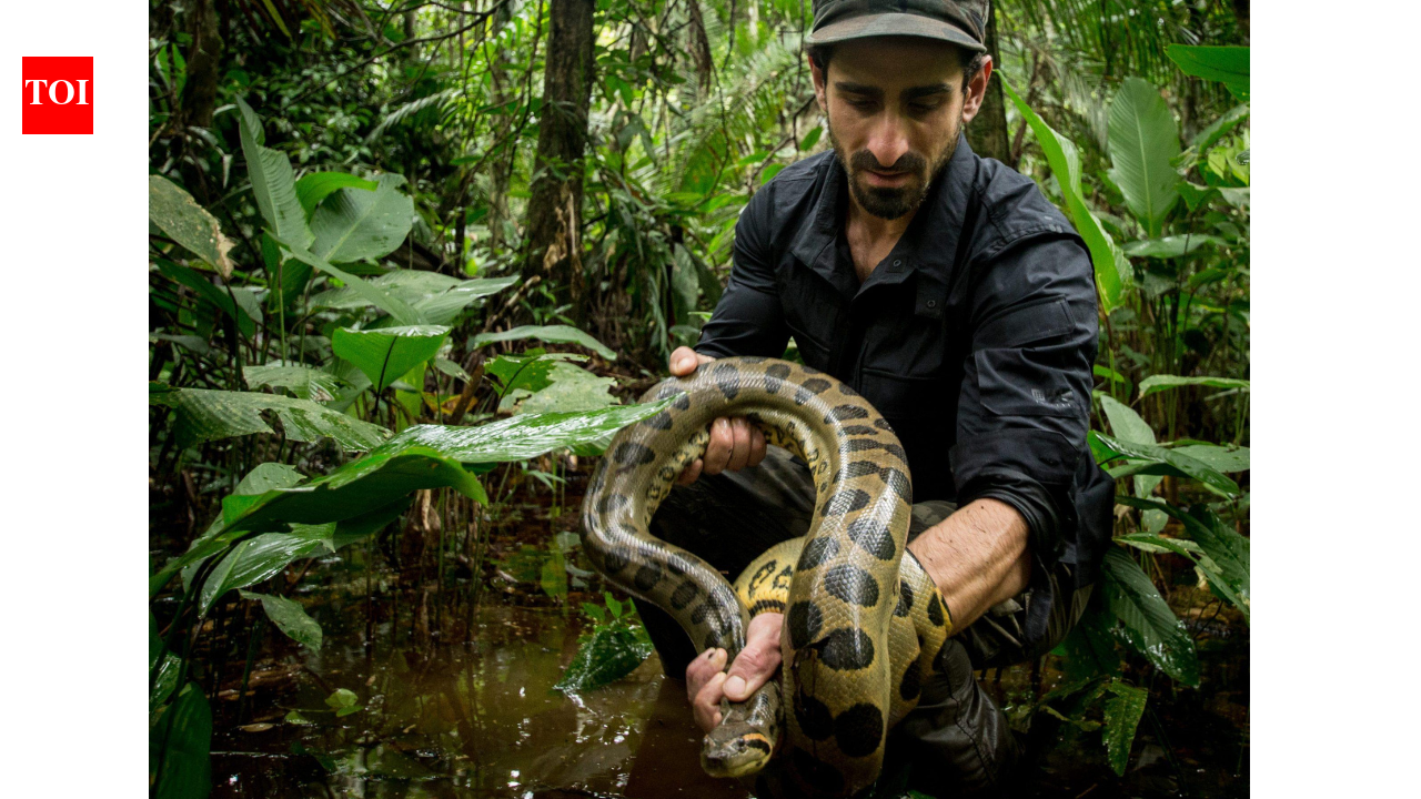 Paul Rosolie entered the Amazon at 18 and spent two decades fighting to save its rainforest; now, his team is protecting 160,000 acres of forest | World News