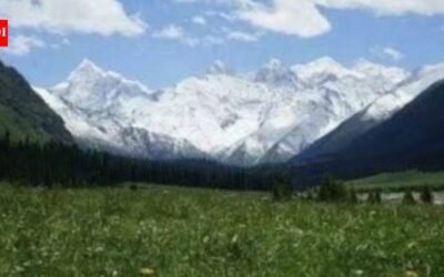 Scientists covered part of a Chinese glacier with fabric to slow melting; ice loss fell by 27% initially but the effect weakened |