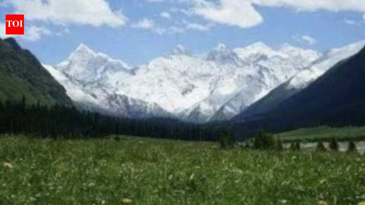 Scientists covered part of a Chinese glacier with fabric to slow melting; ice loss fell by 27% initially but the effect weakened |