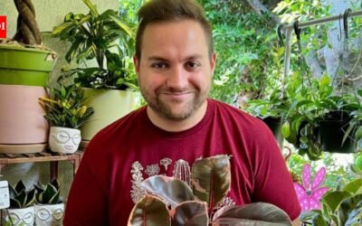A Los Angeles man lost his office job in 2020 and began selling plants from a 600-sq-ft apartment; six years later, his family business has sold over 100,000 plants in 2026 and now brings in millions in annual sales