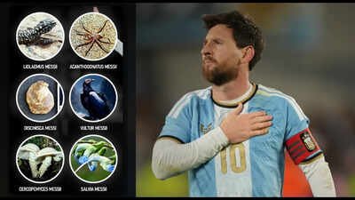 Lionel Messi breaks own Guinness World Record with six species named in his honour: All the insects, animals, fossils, fungi, and plants | Football News